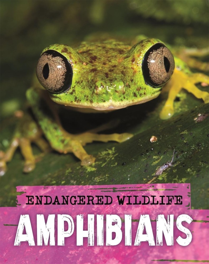 Endangered Wildlife: Rescuing Amphibians by Anita Ganeri (English) Paperback Boo