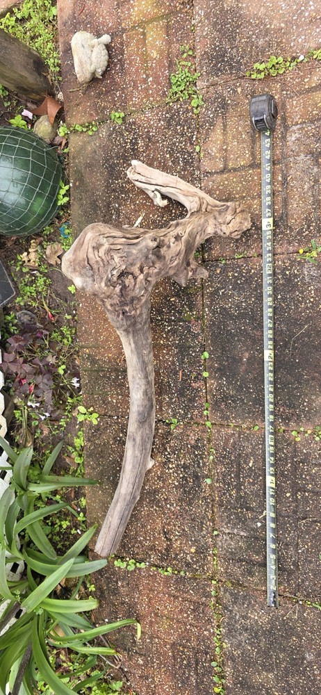 One Of A Kind South Alabama Driftwood