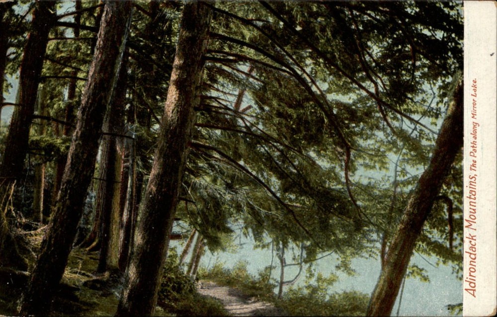 Path along Mirror Lake Adirondack Mountains NY ~ c1910 vintage Leighton postcard