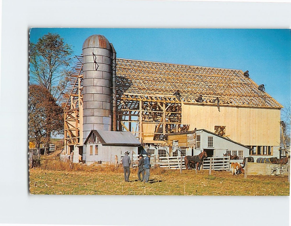 Postcard Amish Barn Raising Pennsylvania USA