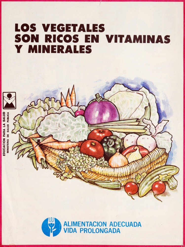 Eat Healthy Decorative Poster. Fine Graphic Art. Wall Interior Design. 2469