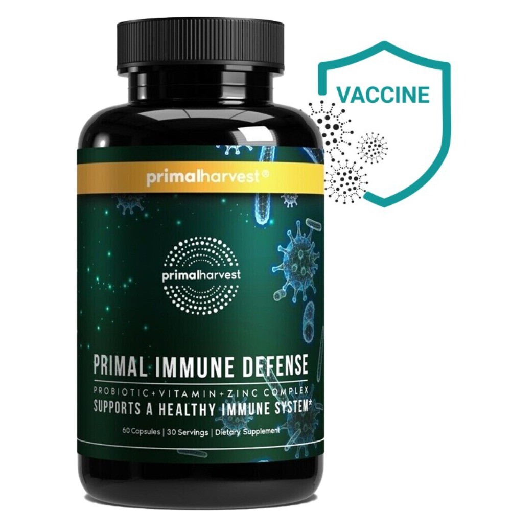 Primal Harvest Prebiotics and Probiotics for Gut Health – 60 Capsules for Women and Men