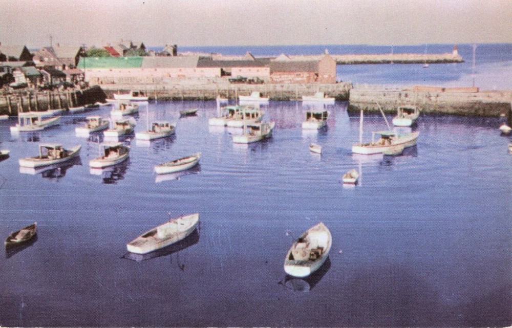 Bird's-Eye View of Boats in Harbor - Rockport Massachusetts MA - Postcard