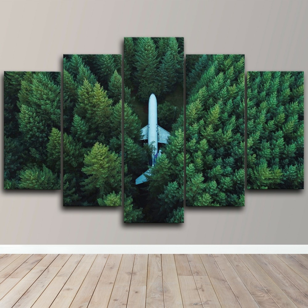 Plane in Forest Nature Beauty 5 Piece Canvas Wall Art Abstract Print Home Decor-image
