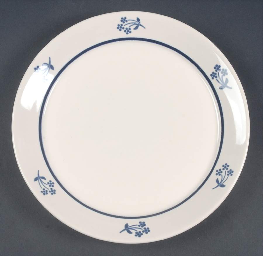 Pfaltzgraff Country Fair 10.25-Inch Dinner Plate Set of 4 Classic Stoneware Design 4646199
