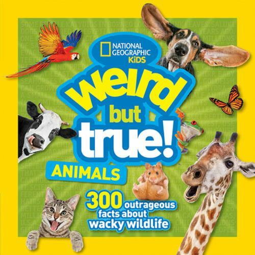 Strange Yet Fascinating Animal Facts You Won't Believe  