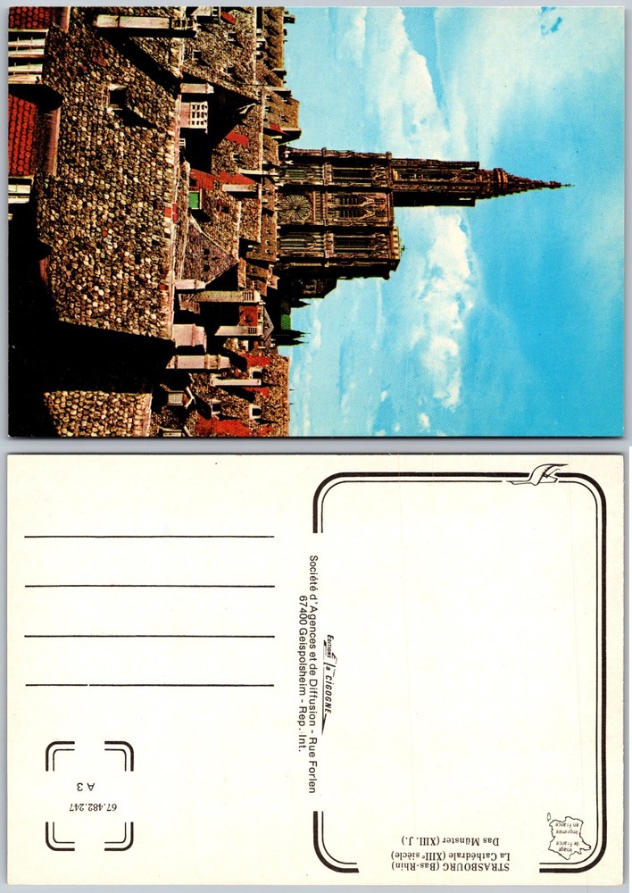 Continental Strasbourg Cathedral France Postcard