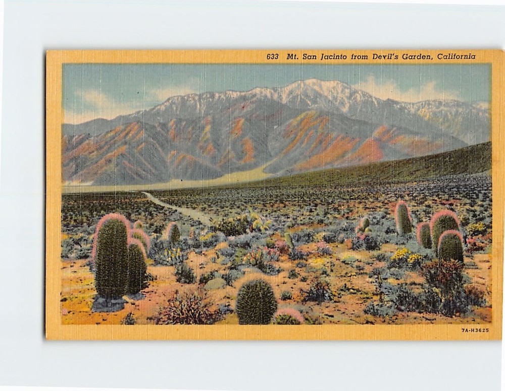 Postcard Mt. San Jacinto from Devil's Garden California USA