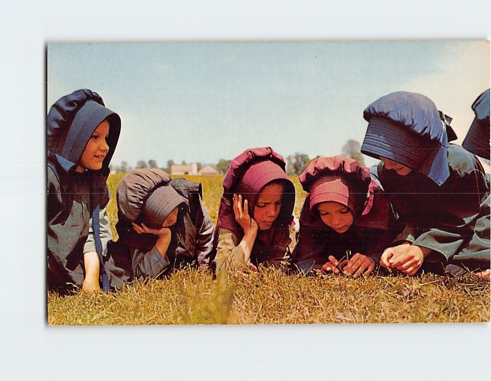 Postcard Amish Girls Greetings from The Pennsylvania Dutch Country USA America