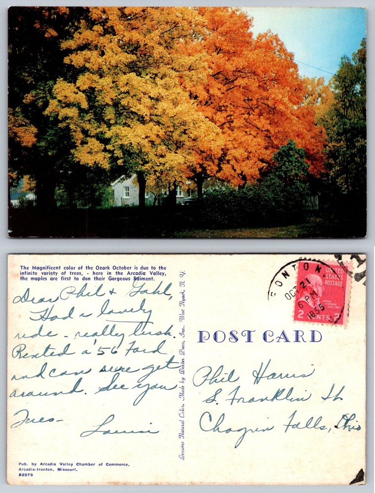 Ozark Arcadia Valley MO Autumn Fall Foliage Trees 1955 Postcard Dexter
