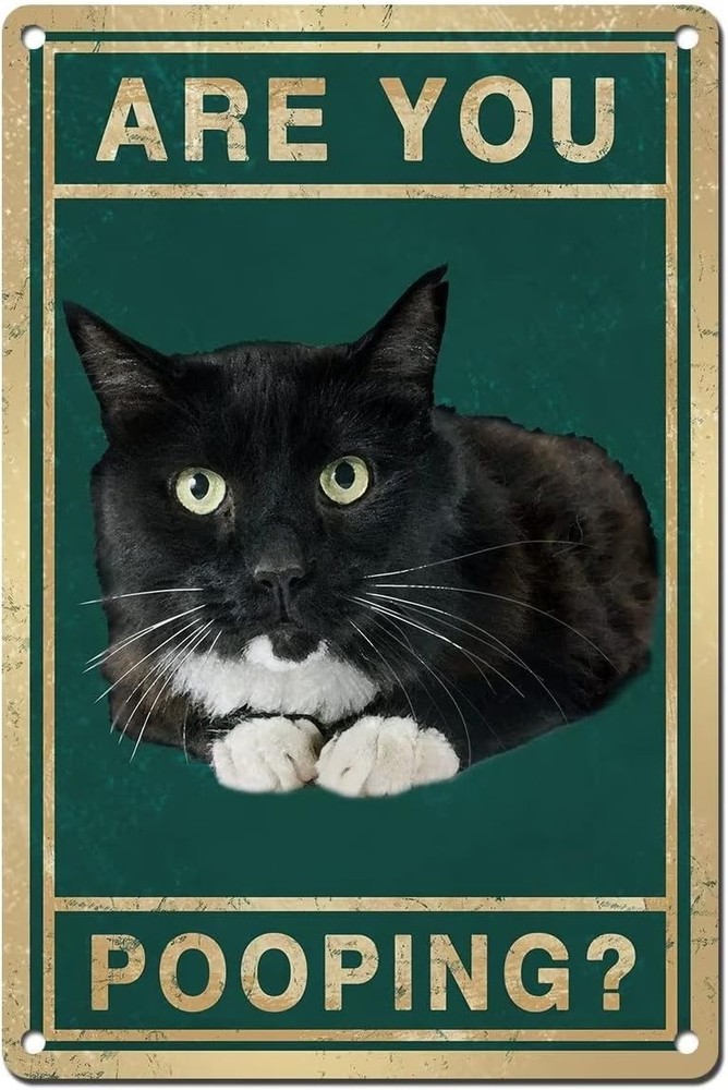 Tin Metal Signs Funny Cat Bathroom Signs,Cute Restroom Retro Vintage