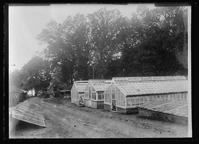 Sarisbury Southampton England 1918 American Red Cross Hospital Farm Greenhouses