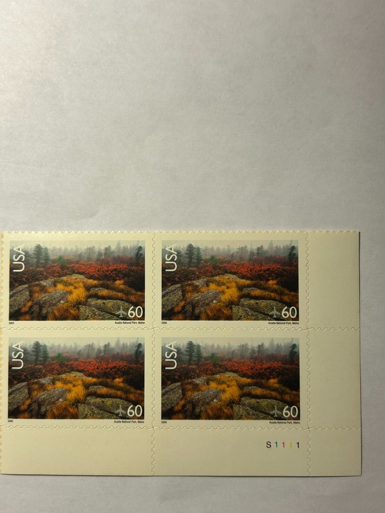 Arcadia National Park US Stamps Scott C-138 Plate Block MNH B1111-image
