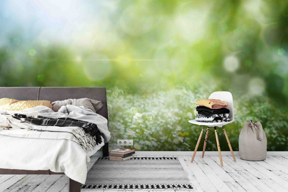 3D Daisies Field Spotlight Landscape Wall Murals Wallpaper Murals Wall Sticker