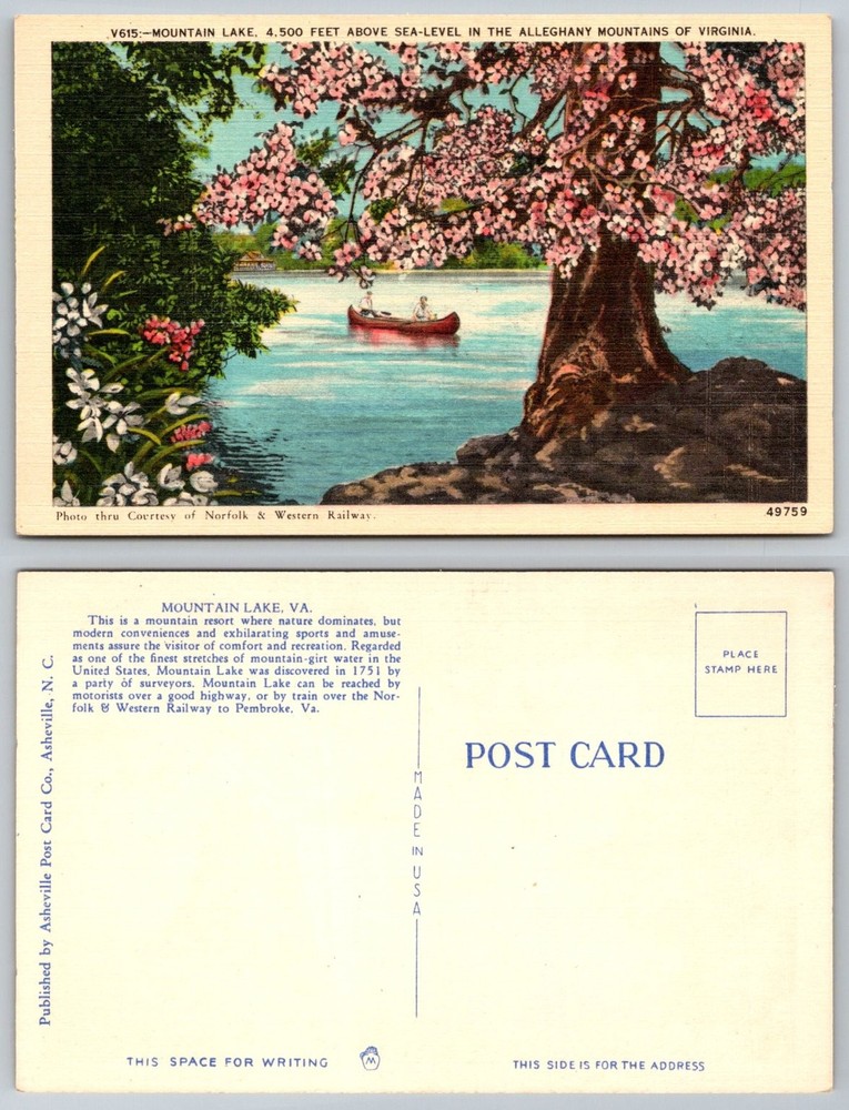 Mountain Lake VA Postcard, Allegheny Mountains, Norfolk & Western Railway Linen