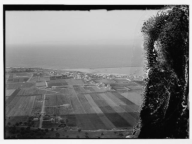 Photo:Haifa Palestine 1900s Aerial View Coastal Farmland Harbor