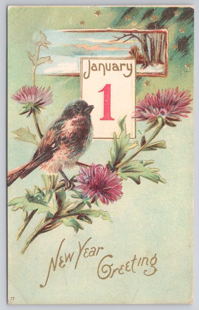 Vintage New Year Greeting Postcard Bird January 1 1900s Undivided Back