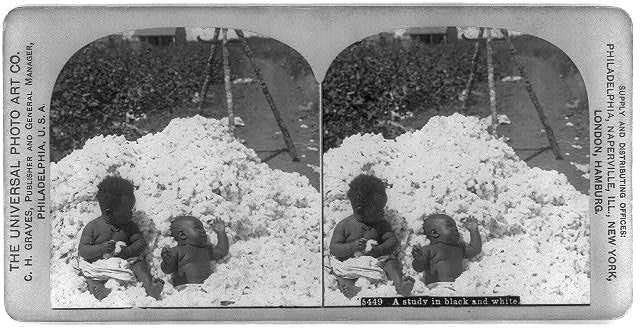 Photo of Stereograph,A Study in Black & White,African American Babies,Cotton