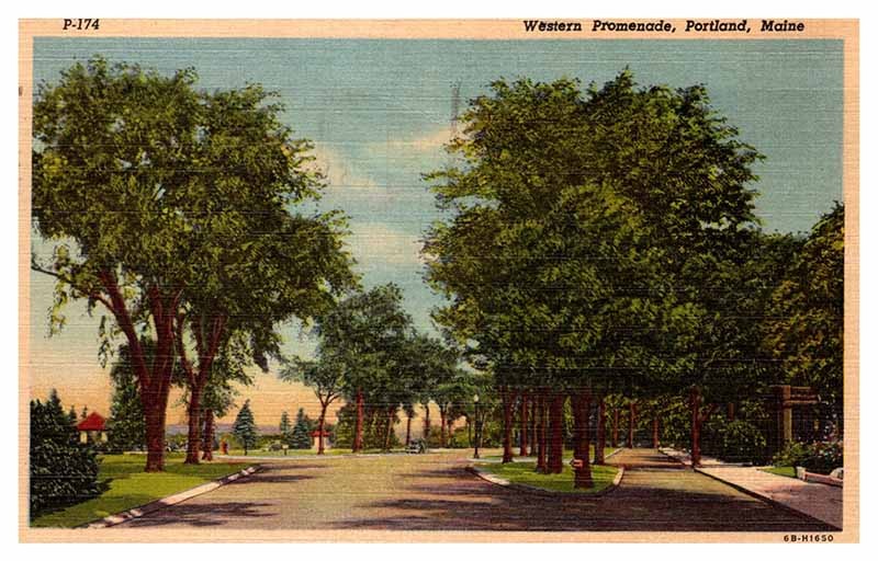 Postcard NATURE SCENE Portland Maine ME m/09 AT7296