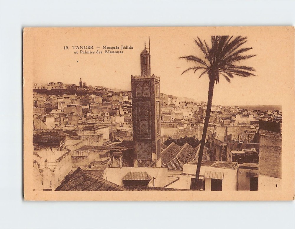 Postcard Mosquée Jédida et Palmier des Aissaouas Tanger Morocco