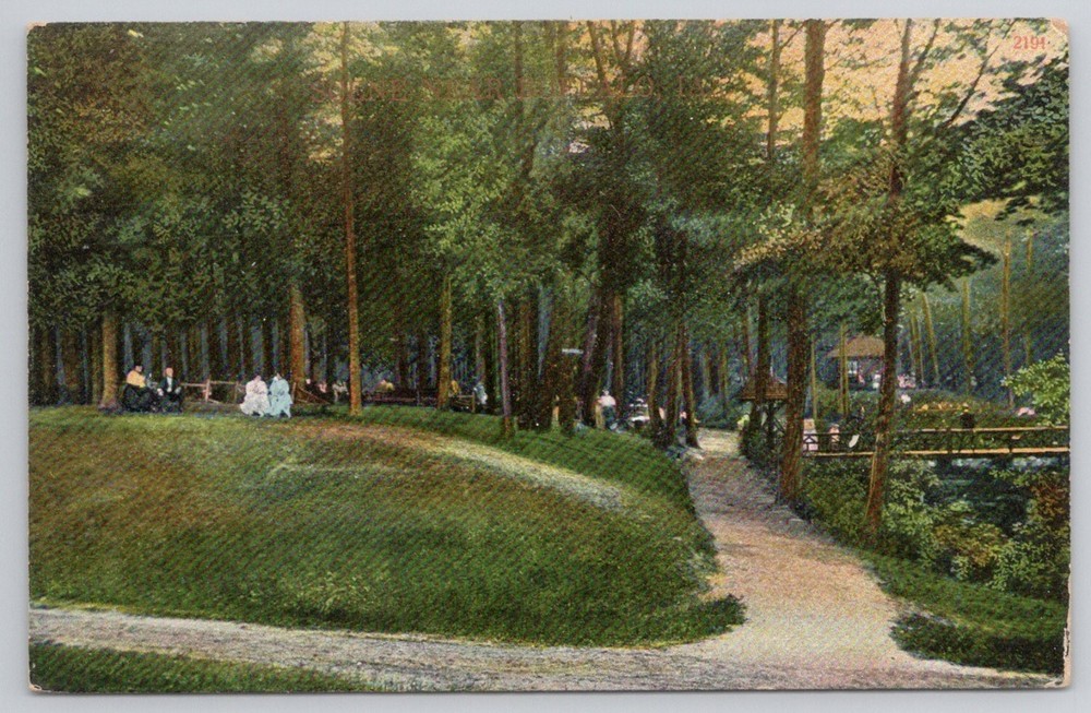 Vintage A. C. Bosselman Park Scene Postcard Edwardian Era Germany Printed