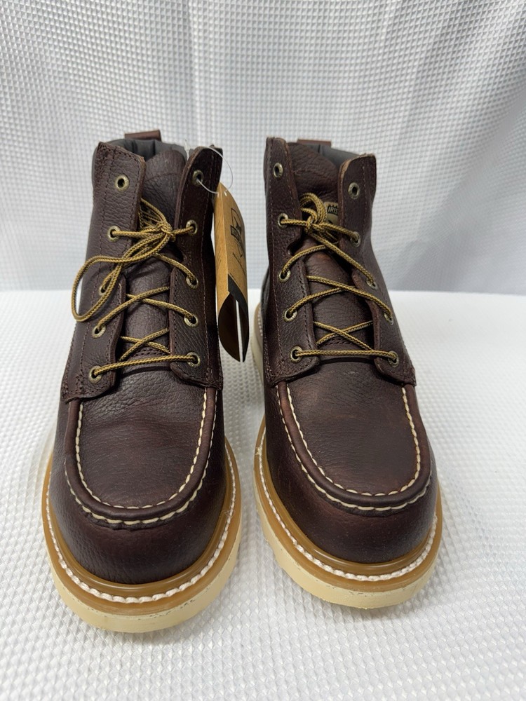 Irish Setter 6
