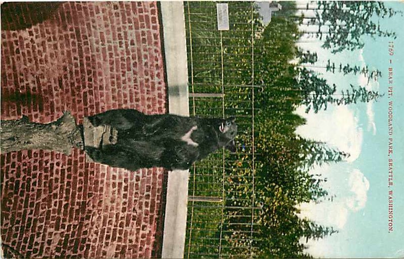 WA, Seattle, Washington, Woodland Park, Bear Pit, Edward H. Mitchel No. 1769