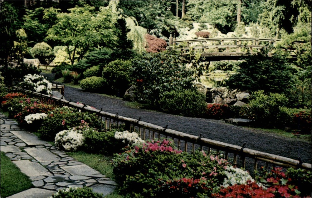 Portland Oregon Japanese Garden Moonbridge scenic unused vintage postcard