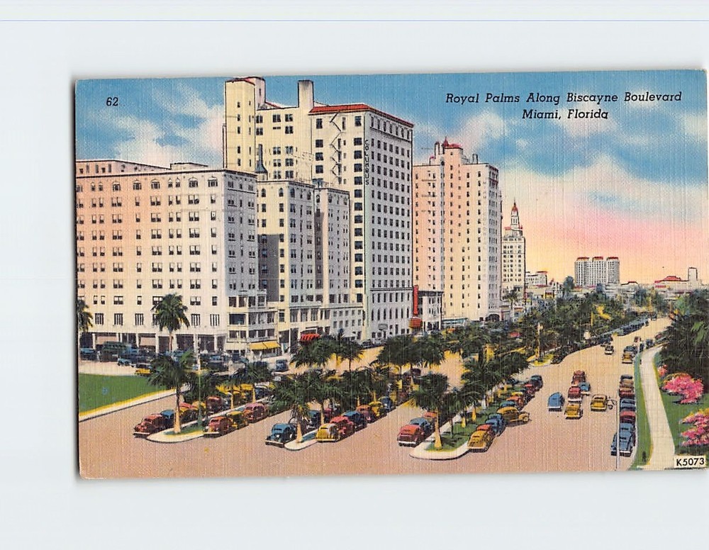 Postcard Royal Palms Along Biscayne Boulevard Miami Florida USA