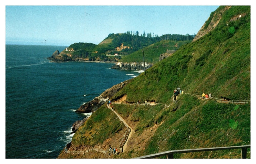 OR Oregon Coast Trail to Sea Lion Caves, Heceta Head, Lighthouse Chrome Postcard