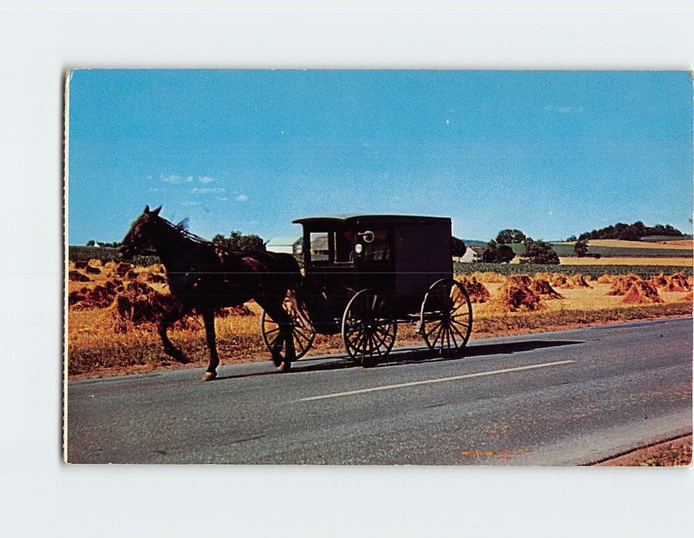 Postcard Amish Market Wagon at the Penna Dutch Country Pennsylvania USA