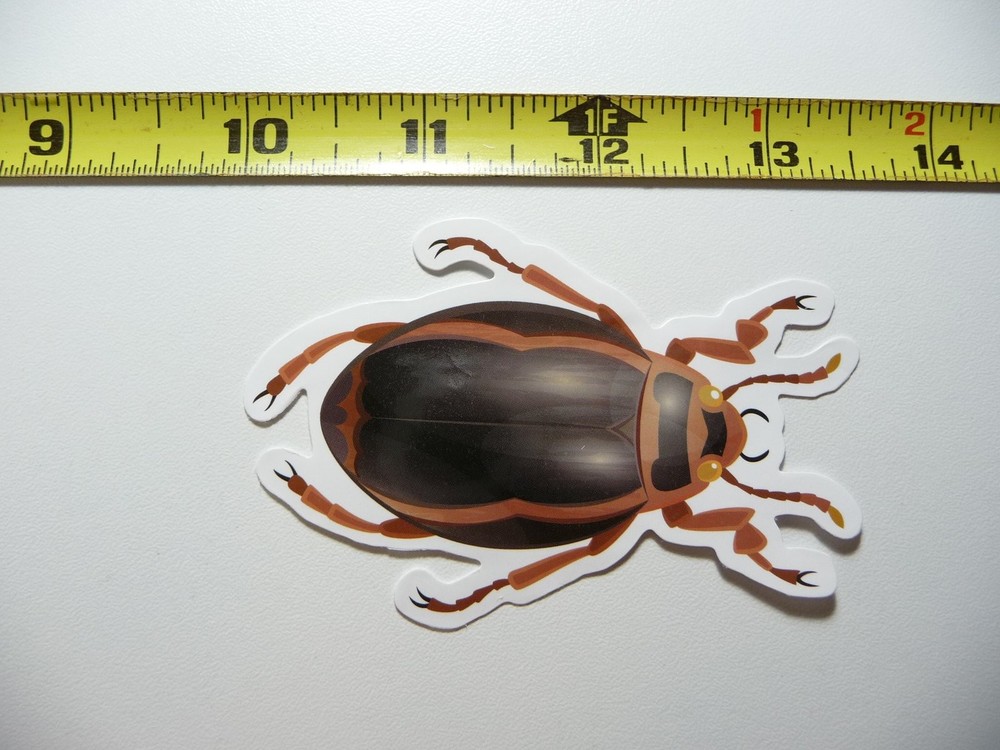 Cute Beetle #1 Decal Sticker Fun Bug Insect Design  