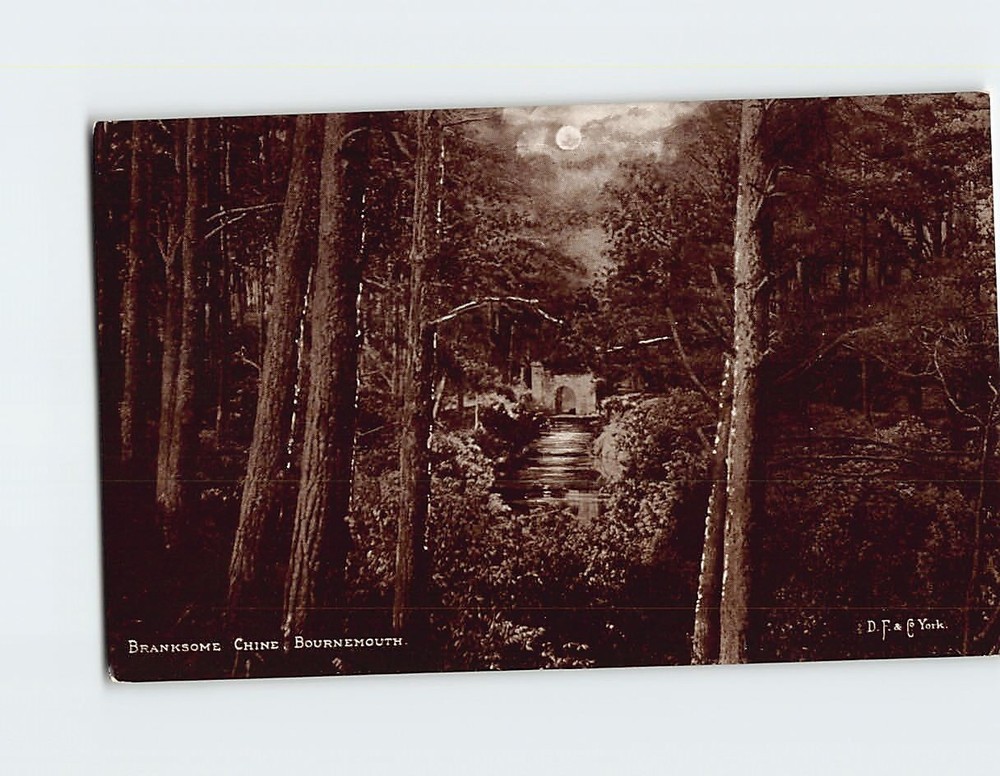 Postcard Branksome Chine Bournemouth Dorset England