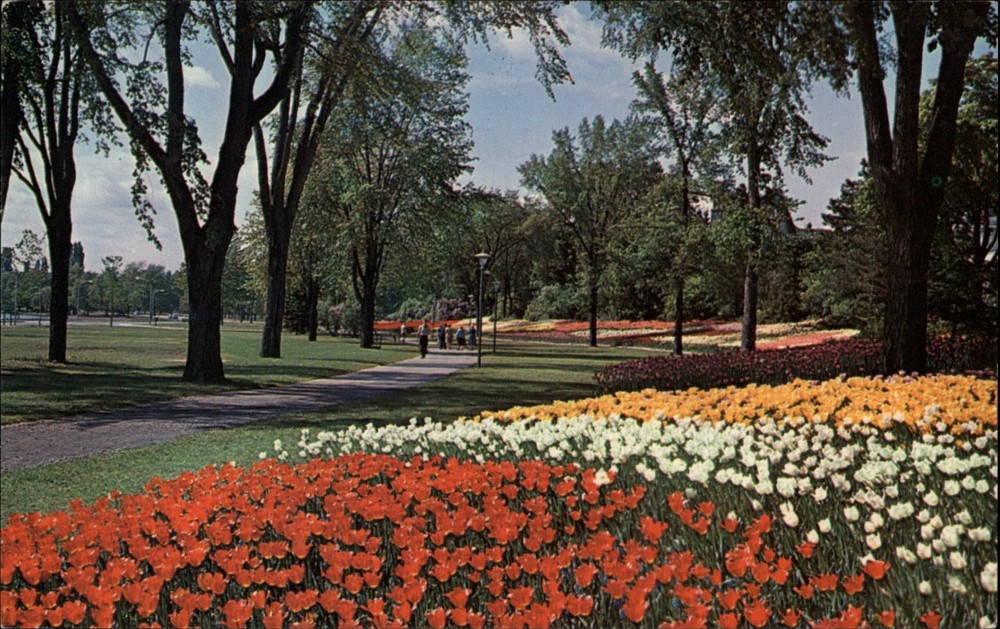 Tulip Gardens Ottawa Ontario Canada vintage postcard s473