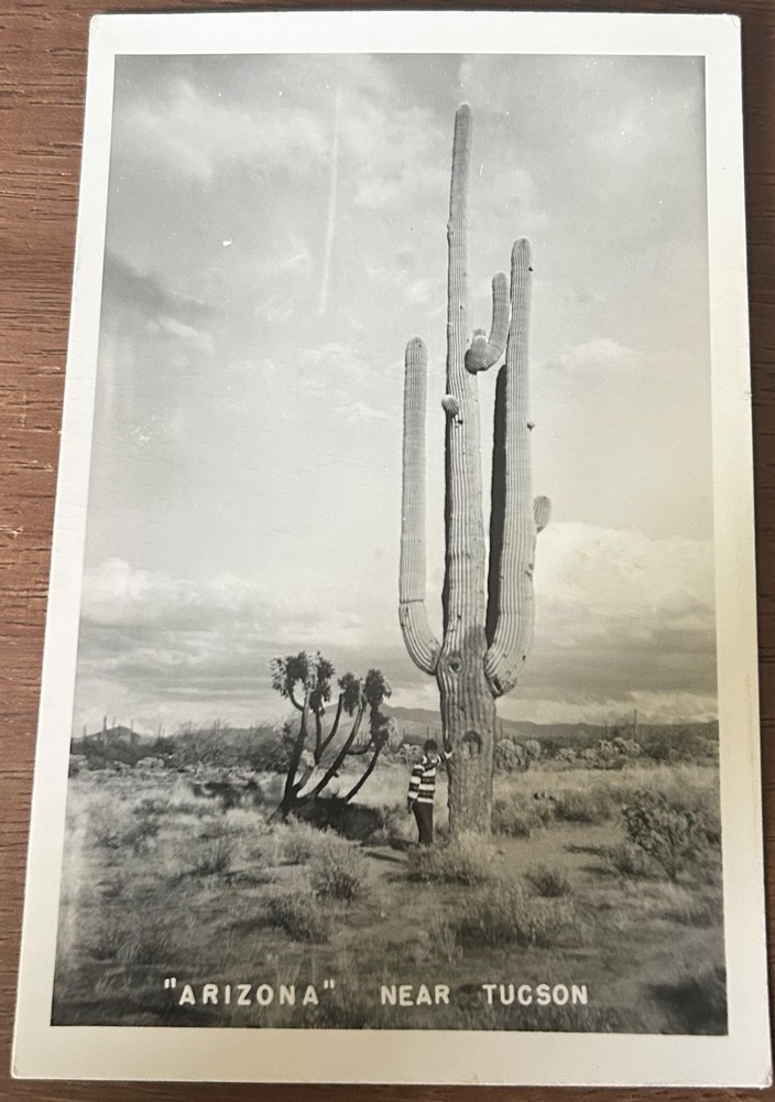 “Arizona” Near  Tucson, Arizona RPPC Real Photo Postcard Vintag