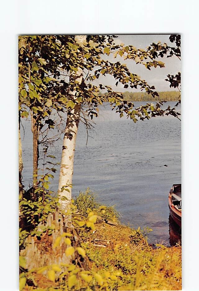Postcard The Solace of Summer