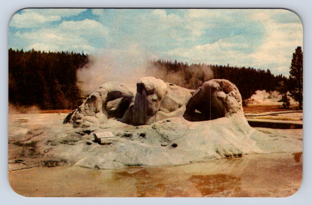 Vintage Postcard Grotto Geyser Upper Basin Yellowstone National park