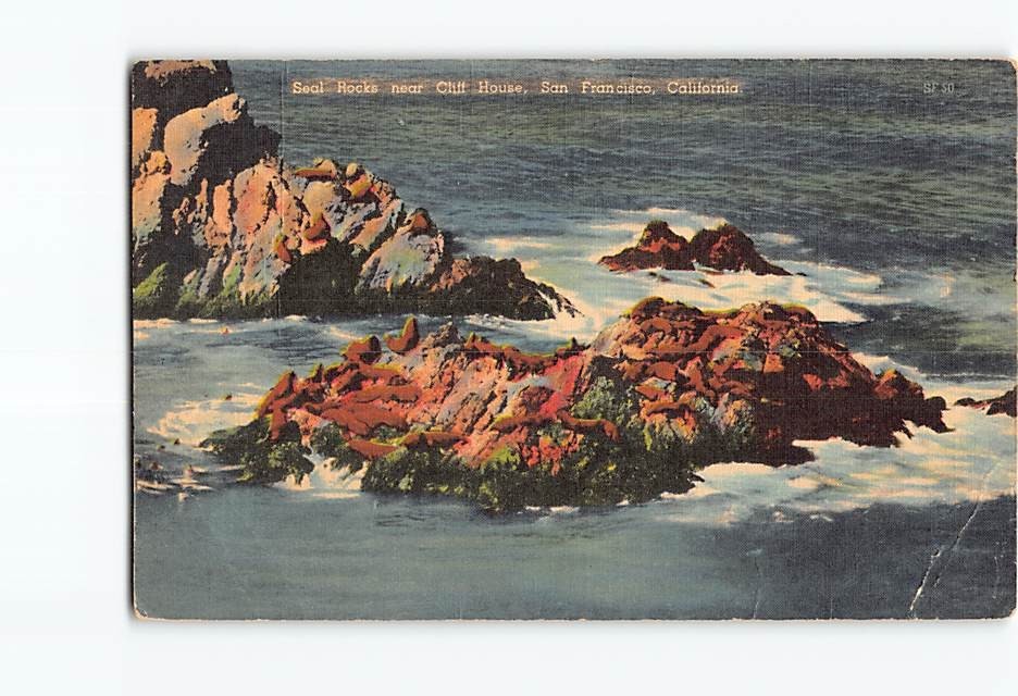 Postcard Seal Rocks near Cliff House San Francisco California USA North America