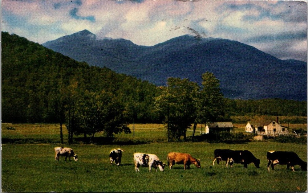 1954 White Mountains NH Postcard Mt Adams Madison Pinkham Notch Tichnorchrome