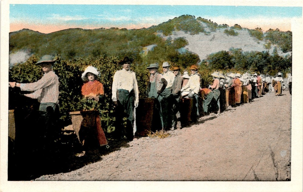 CA, Pacific Novelty Co., San Francisco, Los Angeles, Address, Stamp Postcard