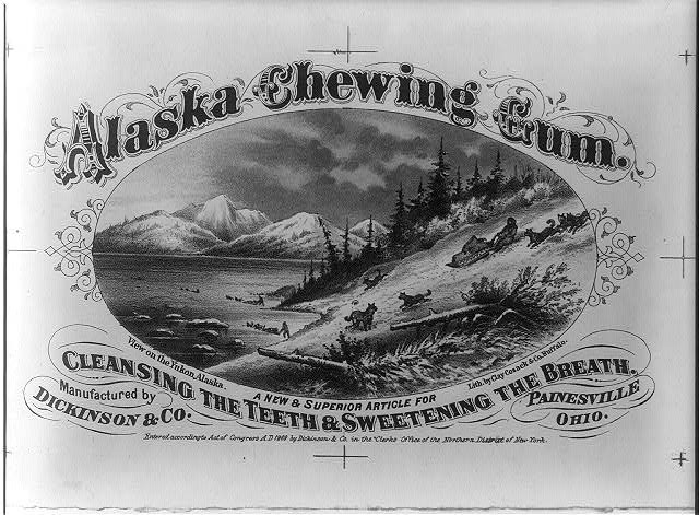 Photo:Alaska chewing gum,...View on the Yukon, Alaska