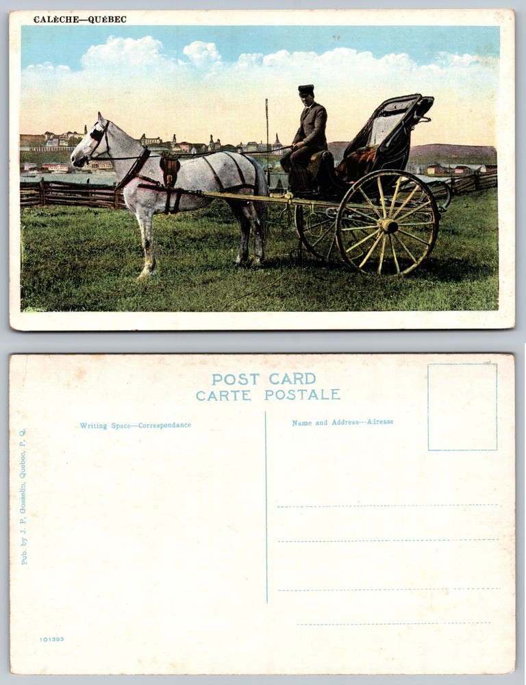 Caleche Quebec Canada Horse Carriage Driver Postcard