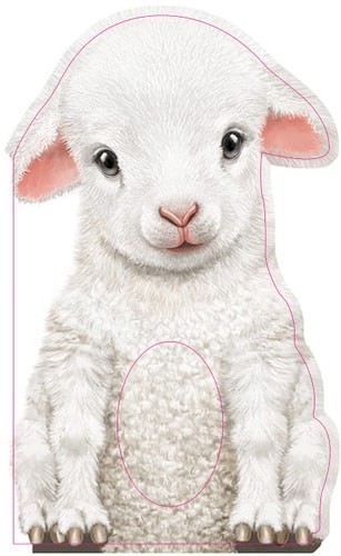 Furry Lamb: A Mini Touch and Feel Book for Babies and Newborns (Sweet Shower Gif