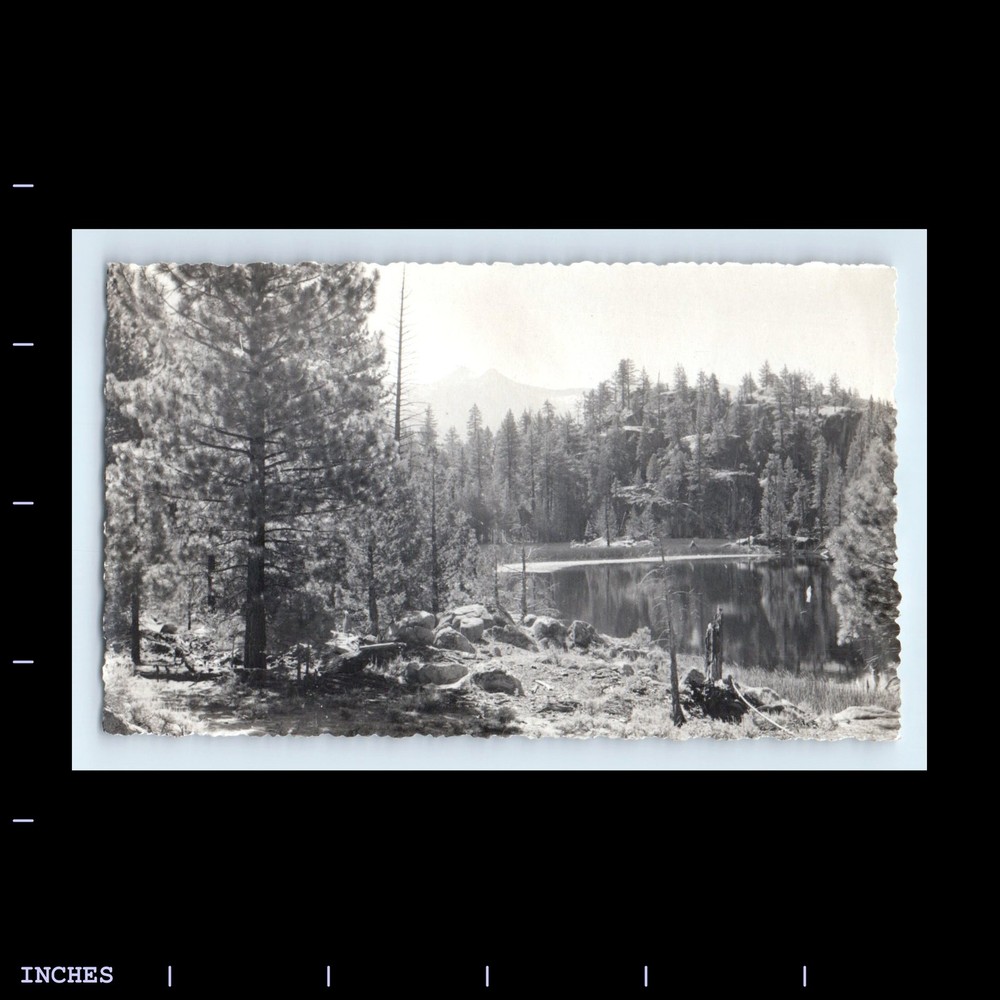 Old Vintage Photo MOUNTAIN LANDSCAPE FOREST TREES LAKE