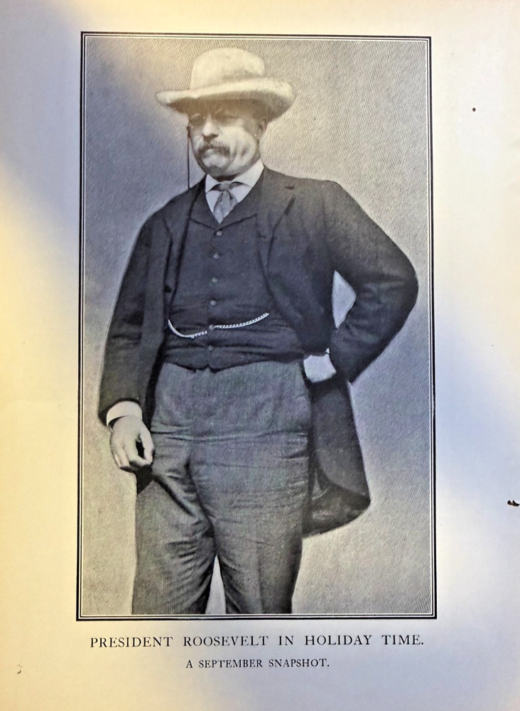 1902 Vintage Magazine Illustration President Theodore Roosevelt Standing