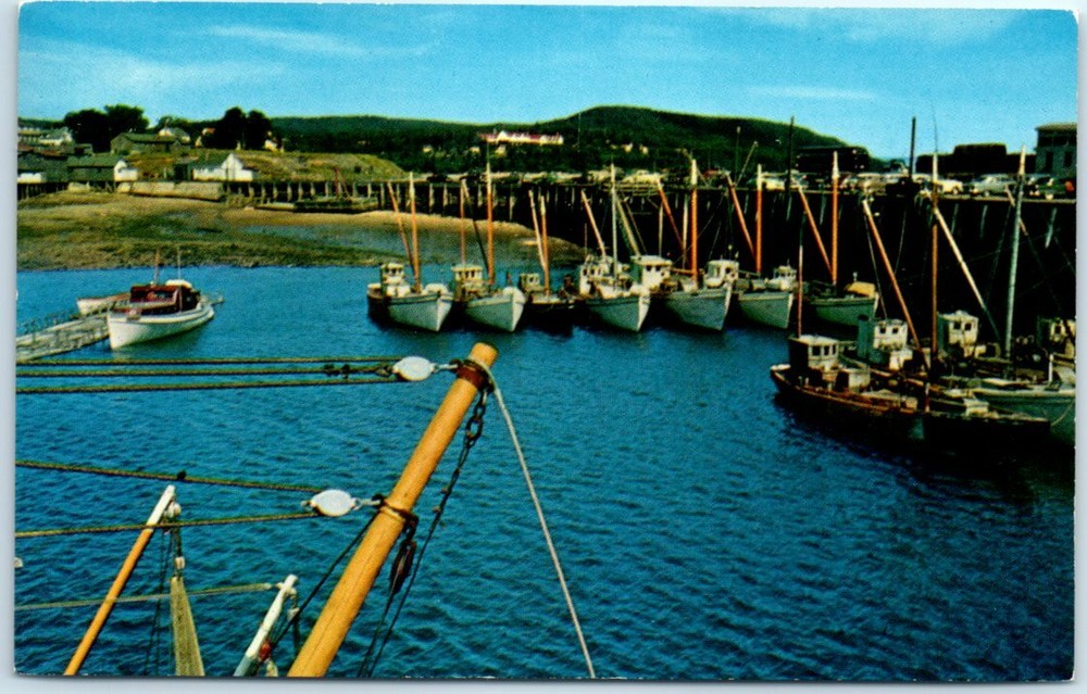 Postcard - The Famous Digby Scallop Fleet - Nova Scotia, Canada