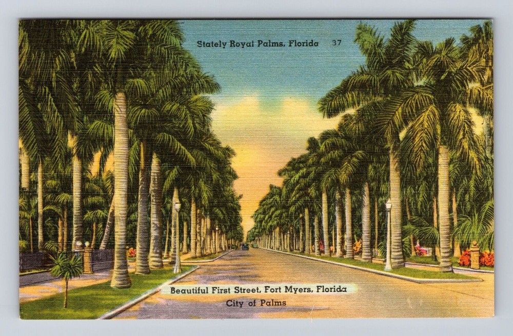 Fort Myers FL-Florida, Beautiful First Street, Royal Palms, Vintage Postcard