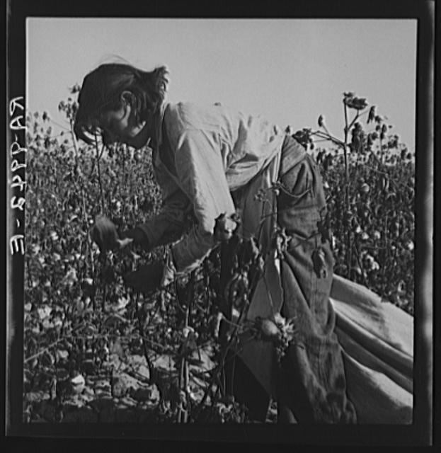 Southern San Joaquin Valley,California,CA,Farm Security Administration,FSA