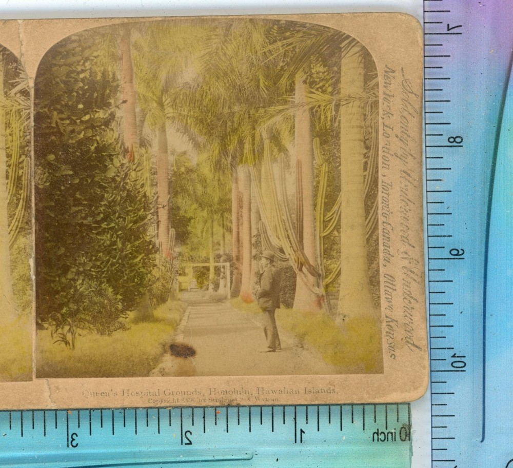 Queen Hospital Grounds Honolulu HI Hawaii Underwood Stereoview
