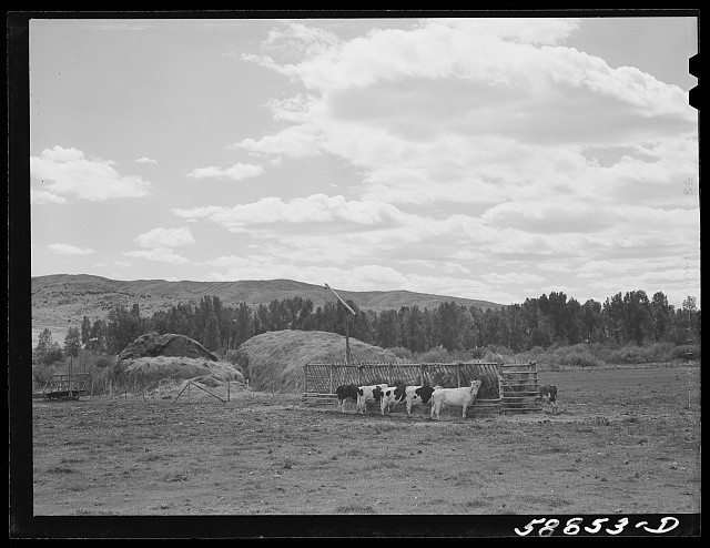 Photo:1930s Cattle Ranch Haystacks Pasture Mountain Landscape Herding